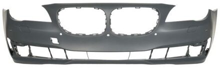 BMW Bumper 5510000077902PP