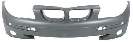 BMW Bumper 5510000085900Q
