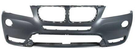 BMW Bumper 5510000093907P