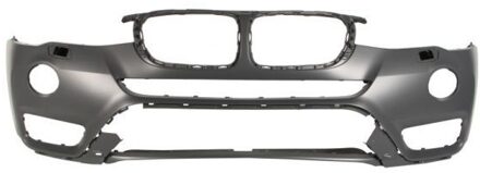 BMW Bumper 5510000093909P