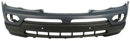 BMW Bumper 5510000095903P