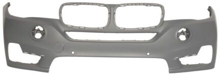 BMW Bumper 5510000097900P