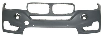BMW Bumper 5510000097901P