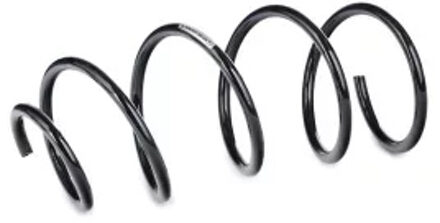 BMW Chassisveer 14101241