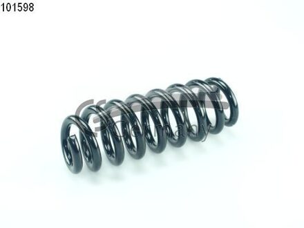 BMW Chassisveer 14101598