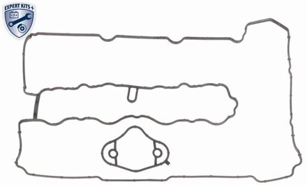 BMW Cilinderkopkap V204697