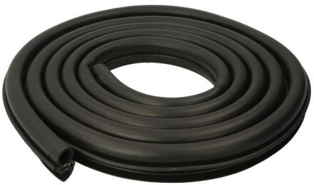 BMW Deurafdichting 5703040065501P