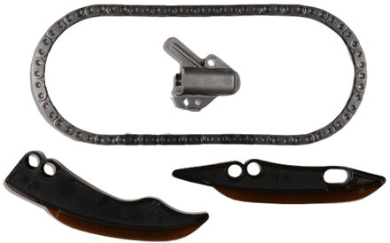 BMW Distributiekettingset 210358