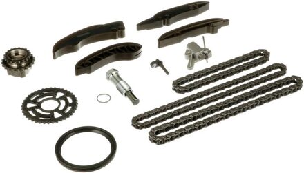 BMW Distributiekettingset CHK1016MA
