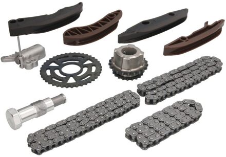 BMW Distributiekettingset TCK93R