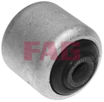 BMW Draagarmrubber 829001210