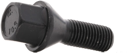 BMW Eibach wielschroeven 10 stuks S1112502617B