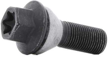 BMW Eibach wielschroeven 10 stuks S4114252817B