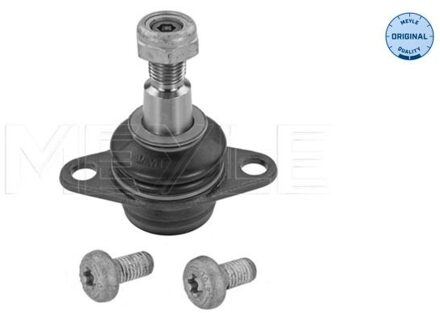 BMW Fuseekogel 3160100015