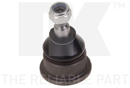 BMW Fuseekogel 5041503