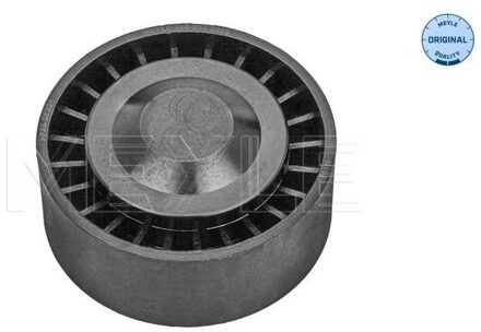 BMW Geleide rol/omdraairol, Poly V-riem 3140090005