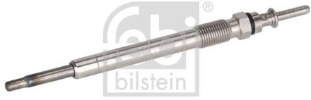 BMW gloeibougie 176173