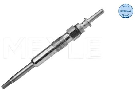 BMW Gloeibougie 3148600001