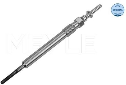 BMW Gloeibougie 3148600004