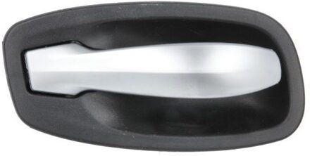 BMW Handgreep, interieur 601005017409PP