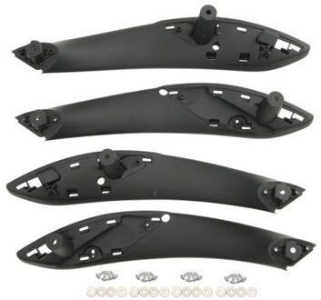 BMW Handgreep, interieur 8800001950280P
