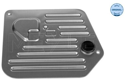 BMW Hydraulische filter, automatische transmissie 3002434107