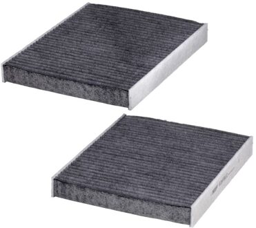 BMW Interieurfilter E2978LC2