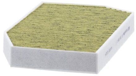 BMW Interieurfilter FP380041