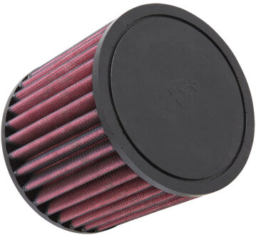 BMW K&N vervangingsfilter passend voor BMW 116i/120i/320i (E-2021) E2021