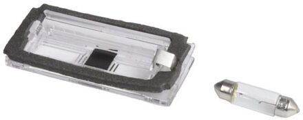 BMW Kentekenlamp 540200307905