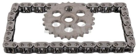 BMW Kettingset, oliepompaandrijving 33104365