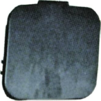 BMW Klep, afsleephaak 1242061