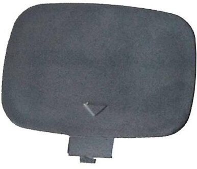 BMW Klep, afsleephaak 1243168