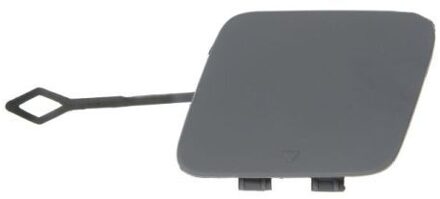 BMW Klep, afsleephaak 5513000078970P