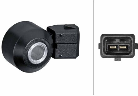 BMW Klopsensor 6PG013114761