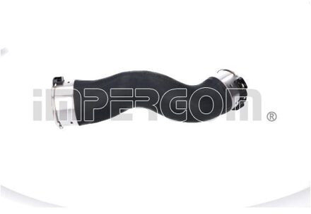 BMW Laadluchtslang 225902