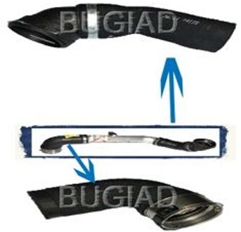 BMW Laadluchtslang 84619