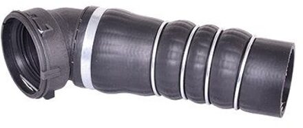 BMW Laadluchtslang 84631