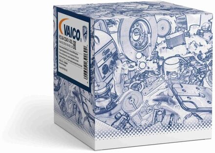 BMW laadluchtslang V202993