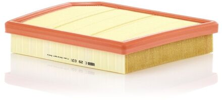 BMW Luchtfilter C29031