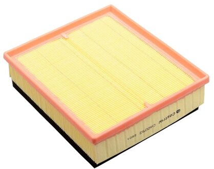 BMW Luchtfilter CA0092