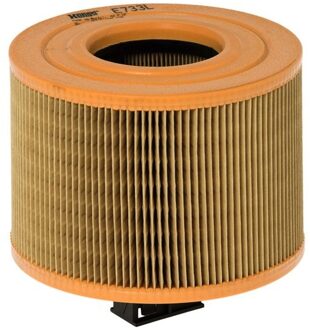 BMW Luchtfilter E733L
