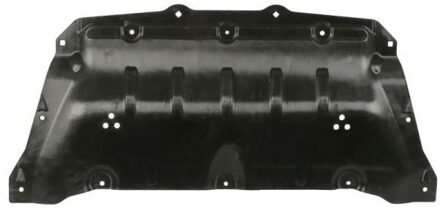 BMW Motor-/Veiligheidsbumper 6601020068863P