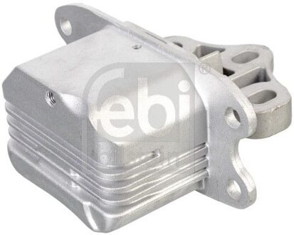 BMW motor- / versnellingsbaksteun 176007