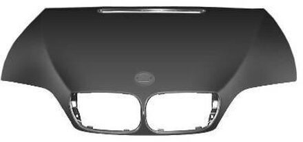 BMW MOTORKAP vanaf '02 0649660