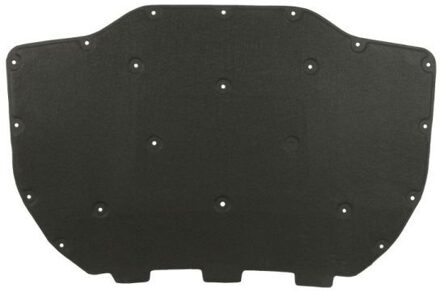 BMW Motorruimte-isolatie 6804000067290P