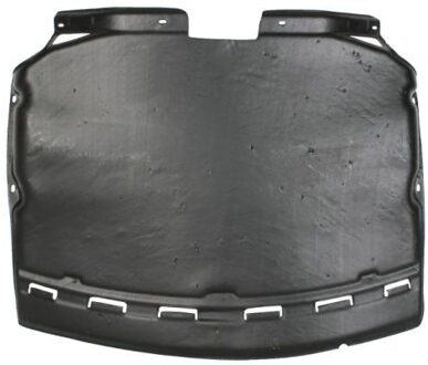 BMW Motorverkleding 6601020076860P