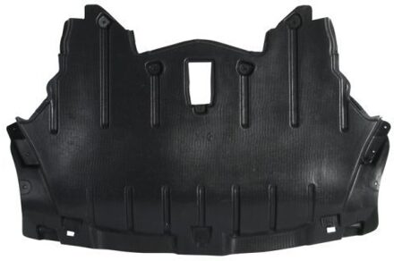 BMW Motorverkleding 6601020099860P