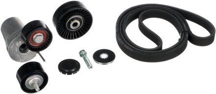 BMW Multiriem set K036DPK1698