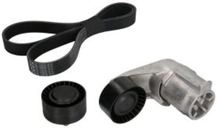 BMW Multiriemen Set Bmw 529021010